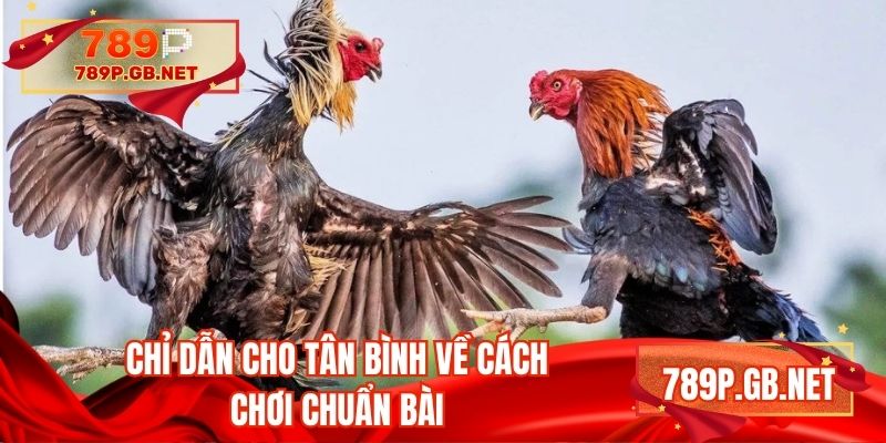 Chỉ dẫn cho tân bình về cách chơi chuẩn bài