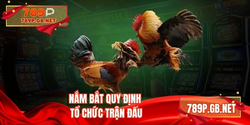 Nắm bắt quy định tổ chức trận đấu