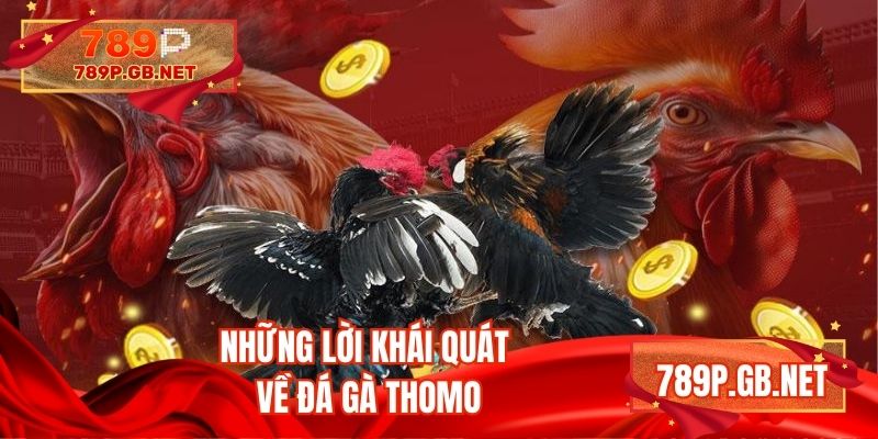 Những lời khái quát về đá gà Thomo