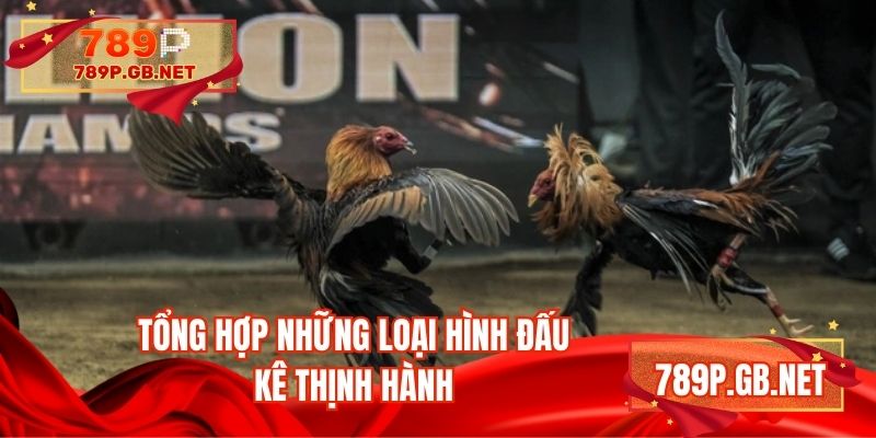 Tổng hợp những loại hình đấu kê thịnh hành